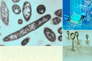 چگونه ابزارهای هوش مصنوعی به تحول دیجیتال کمک می‌کنند؟