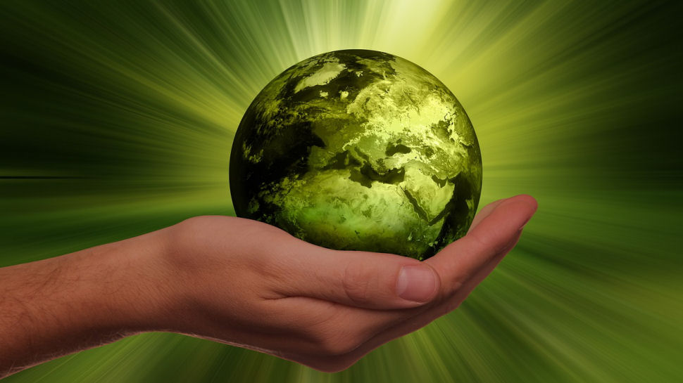 کربن خنثی در کسب‌وکار