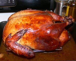 میانه‌رو بودن بوری و انویدیا: آیا انفجار AI به پایان می‌رسد؟