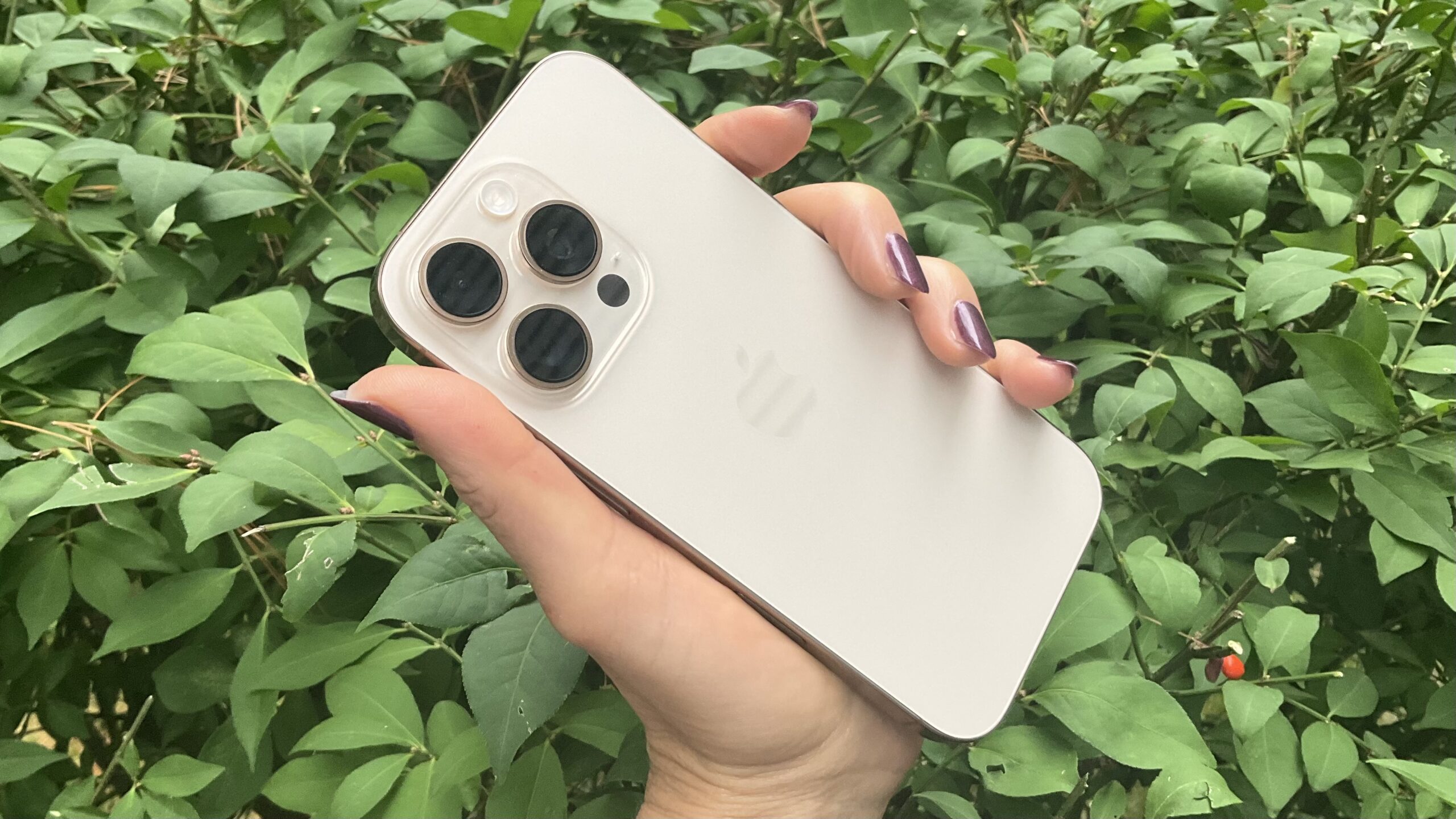 تخفیف آیفون ۱۷ پرو مکس در بلک فرایدی