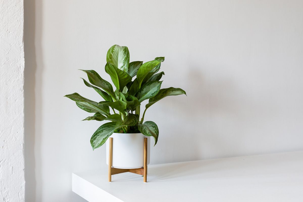 فرمان‌های صوتی هدست XR