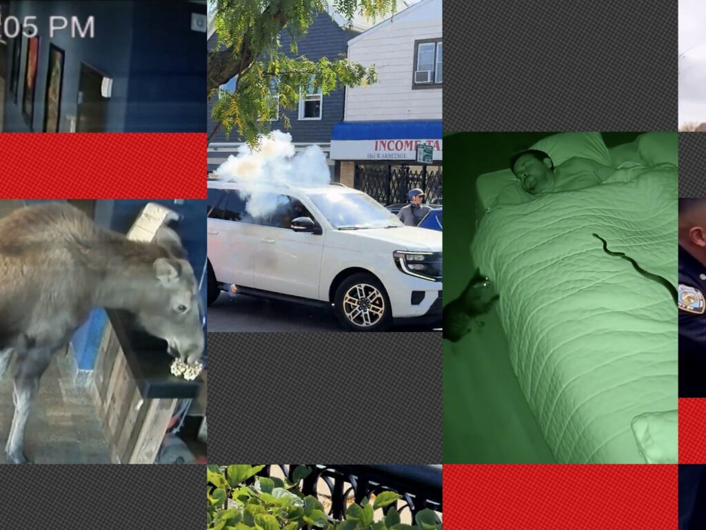 نحوه تشخیص ویدیوهای عمیقساخته AI: دوری از اطلاعات نادرست نحوه تشخیص ویدیوهای عمیقساخته AI: دوری از اطلاعات نادرست